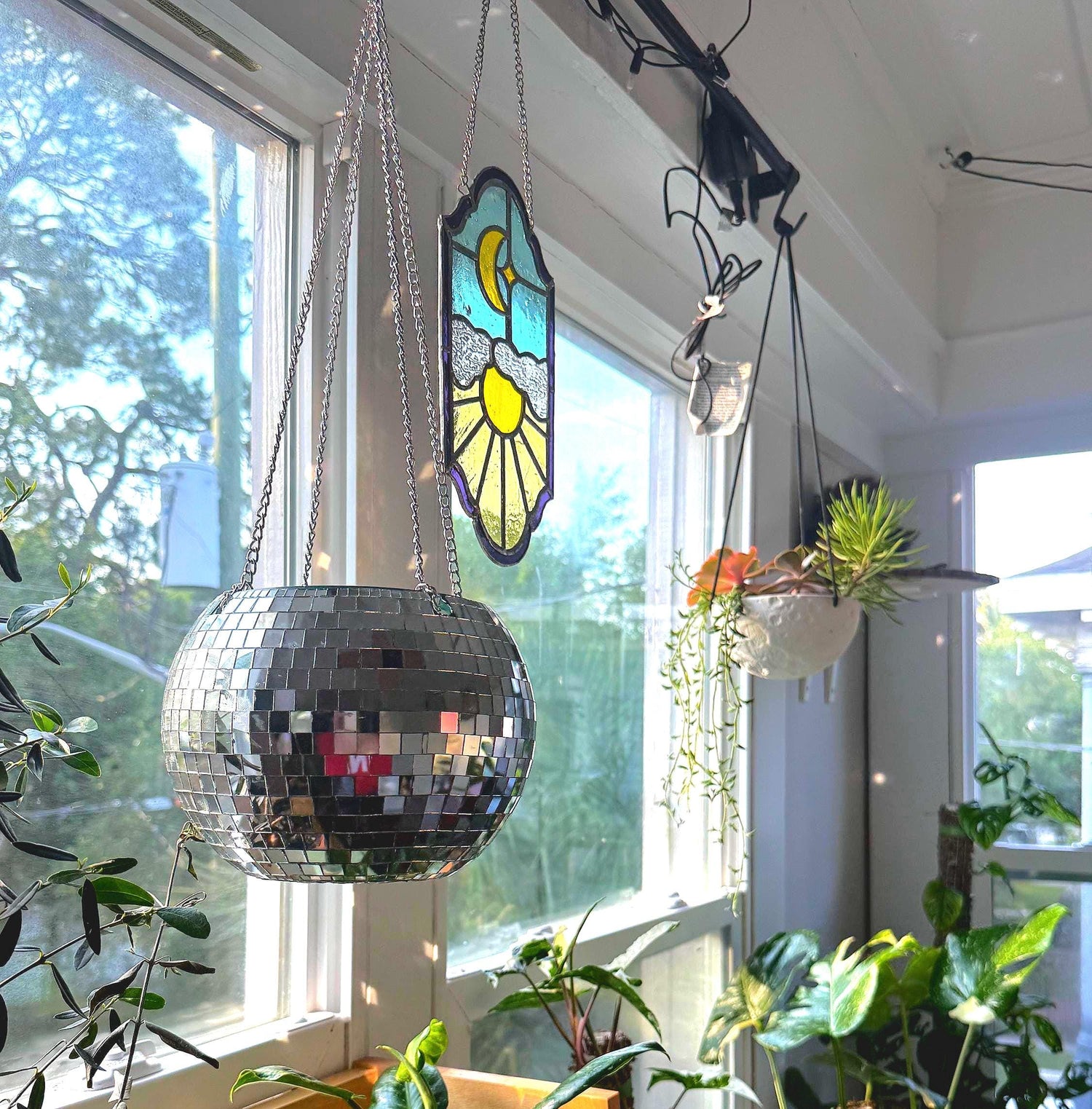 Plant Accessories