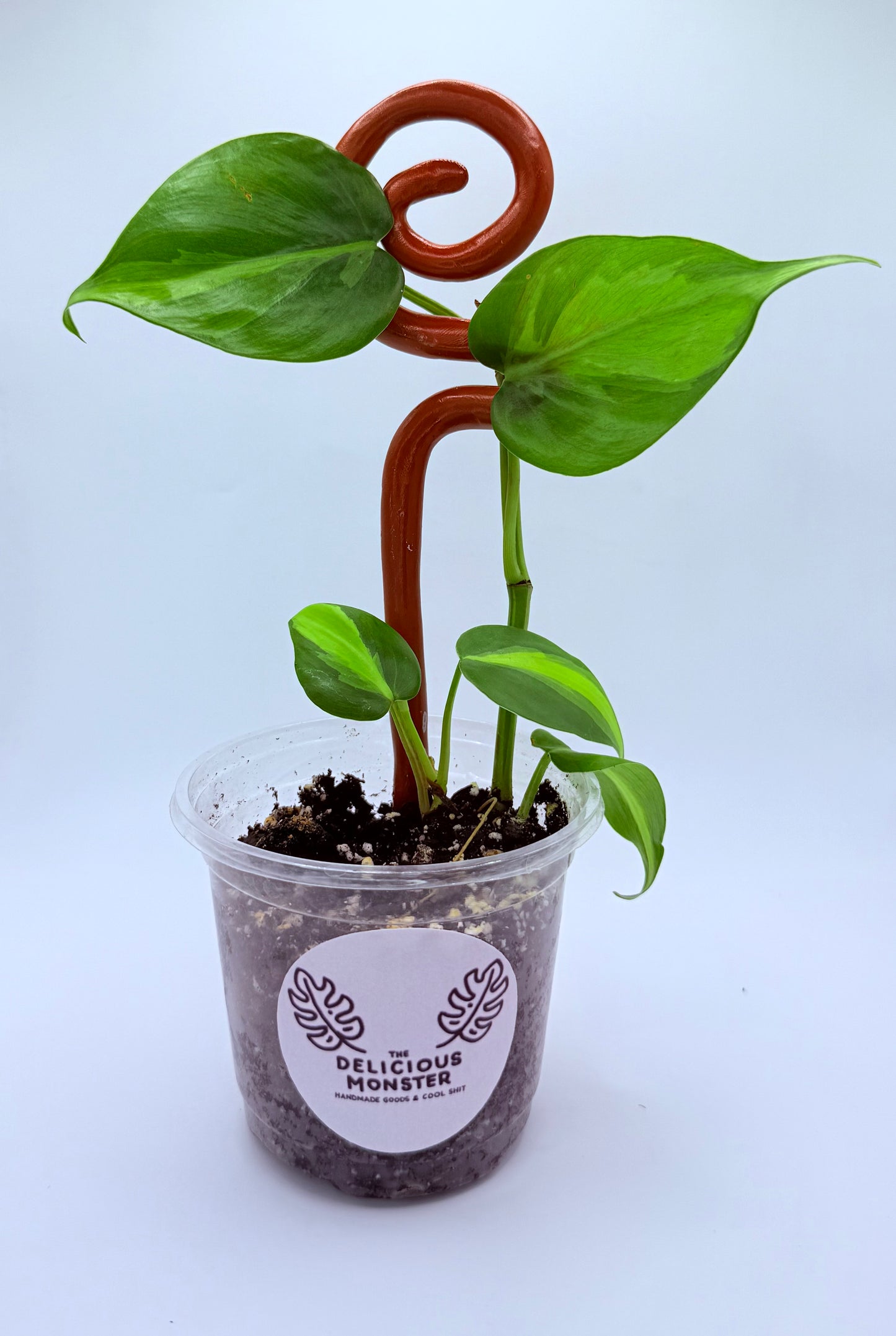 Clay Plant Support Stakes