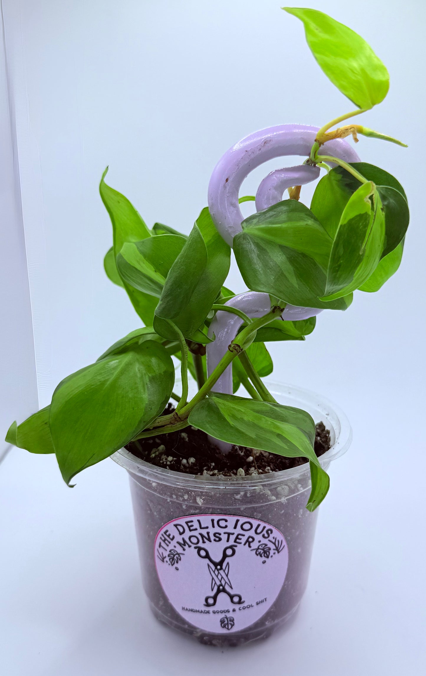 Clay Plant Support Stakes