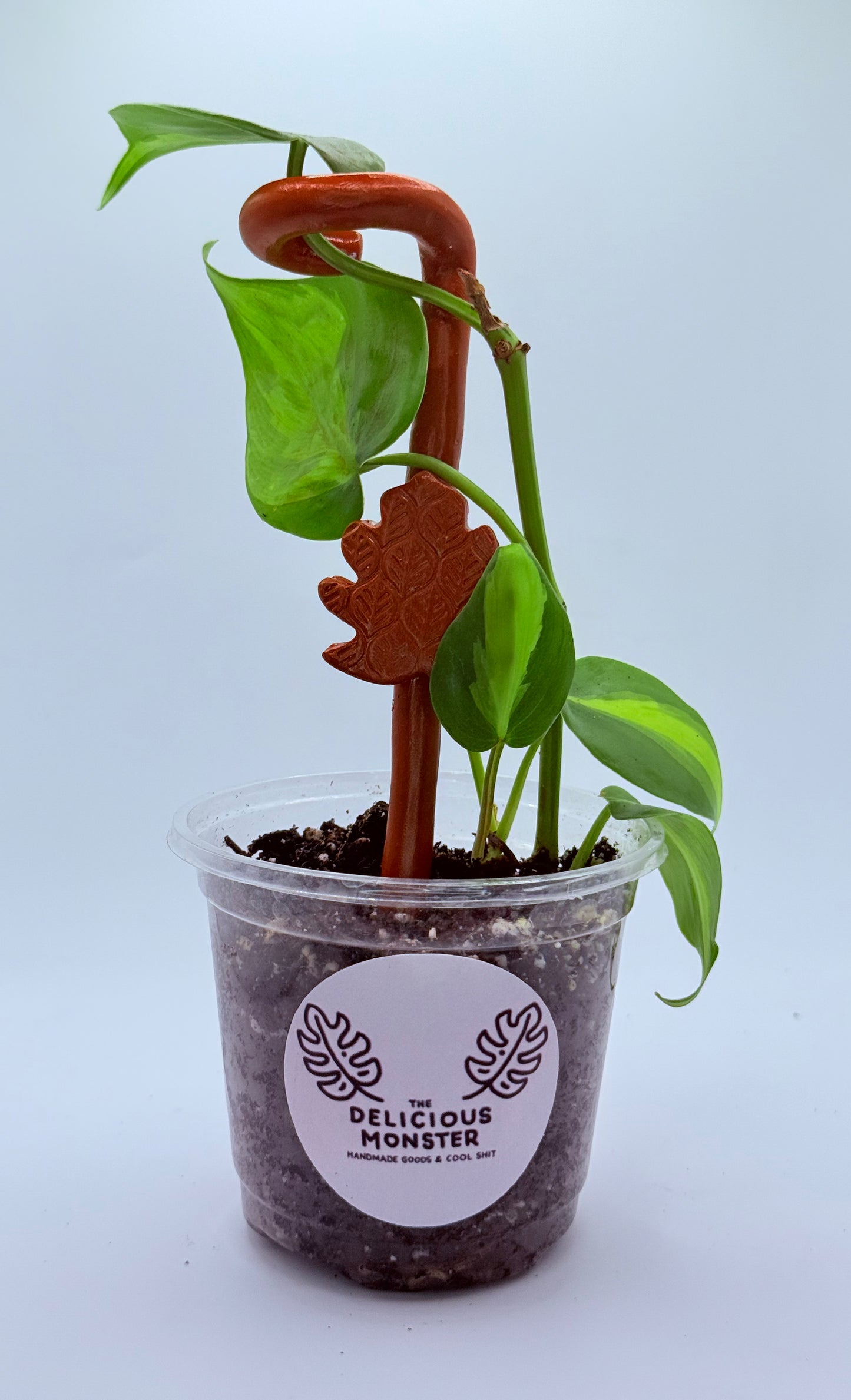 Clay Plant Support Stakes