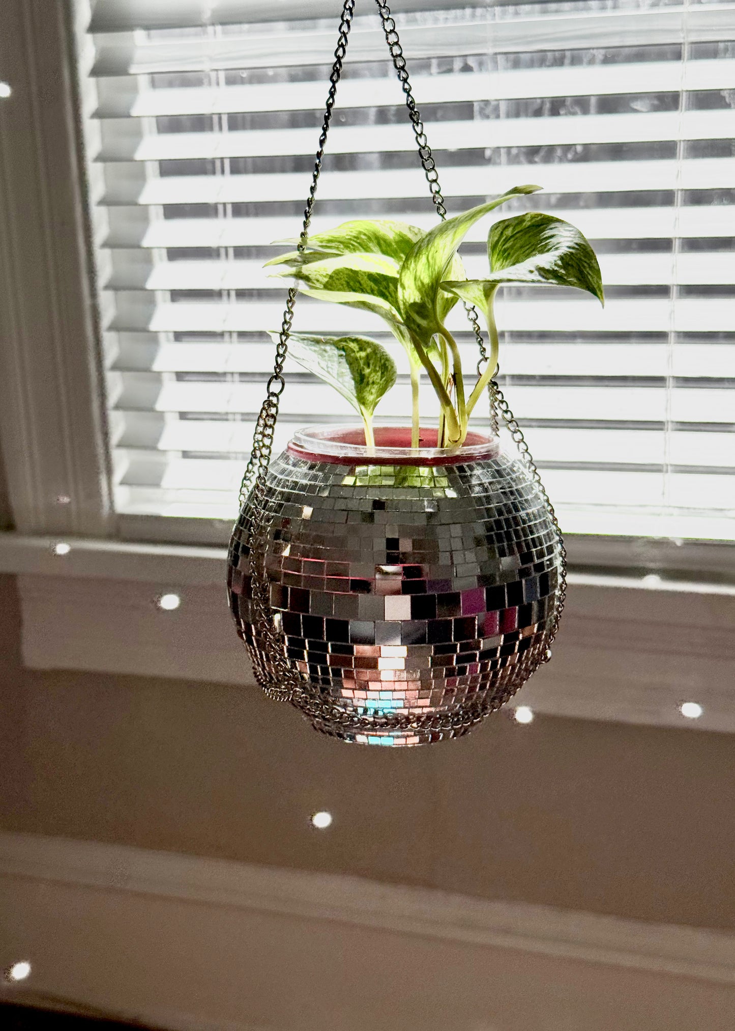 5” Disco Planter