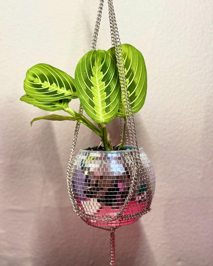 5” Disco Planter