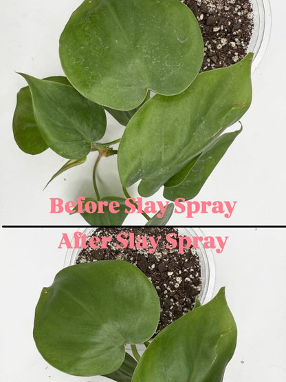 Slay Spray — 10 oz.