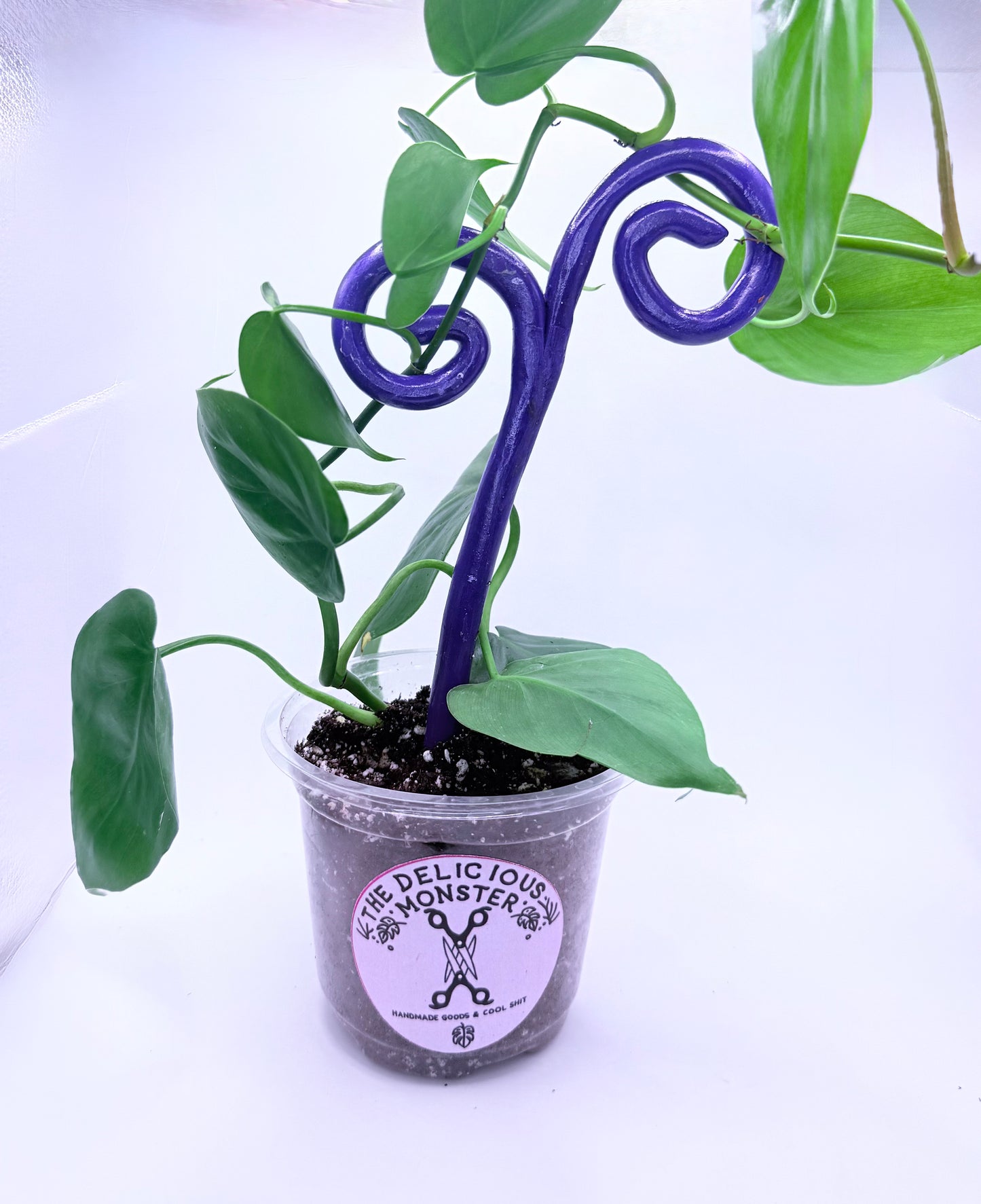 Clay Plant Support Stakes