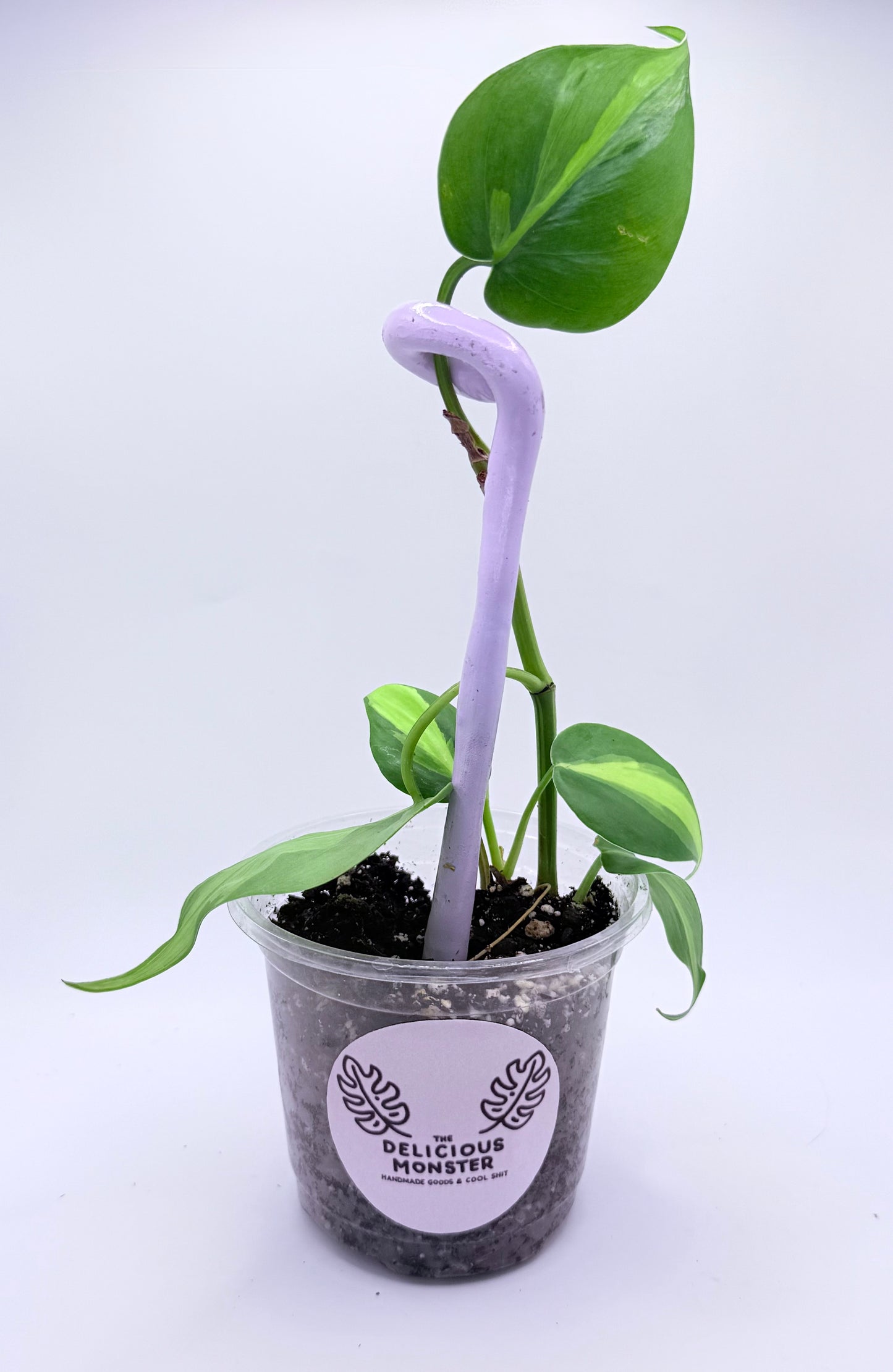 Clay Plant Support Stakes