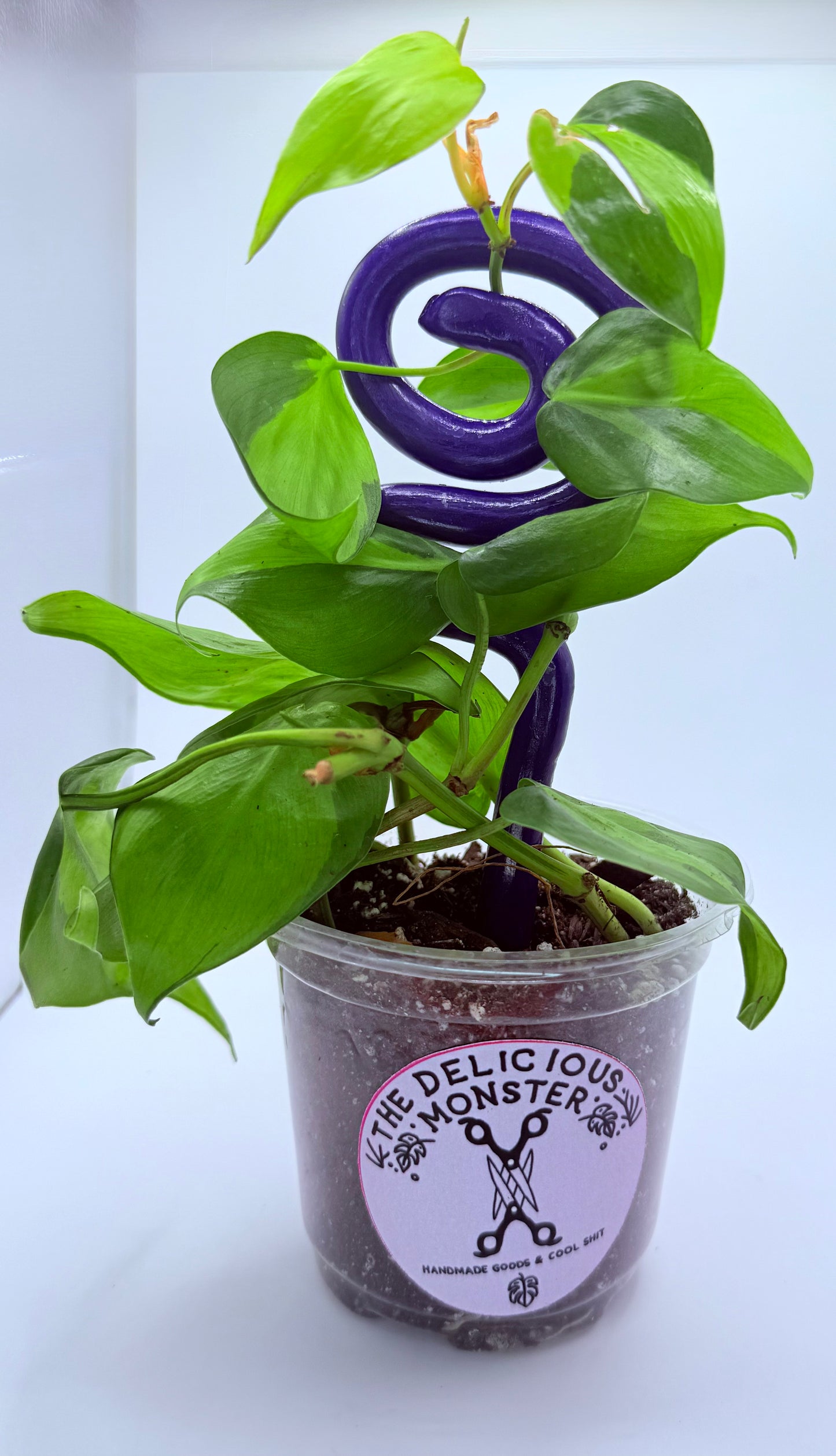 Clay Plant Support Stakes