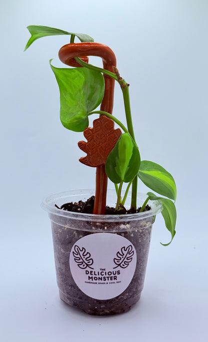 Clay Plant Support Stakes